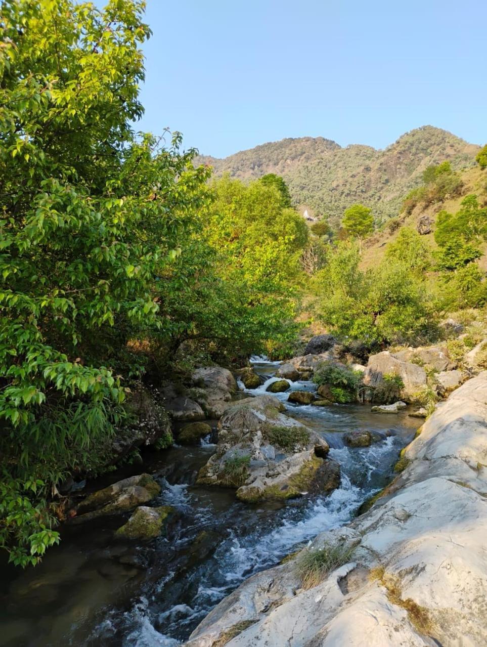 Rivulet Resort & Camping Mussoorie Exterior foto